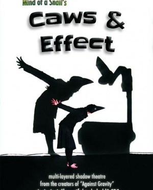 poster for Caws and Effects